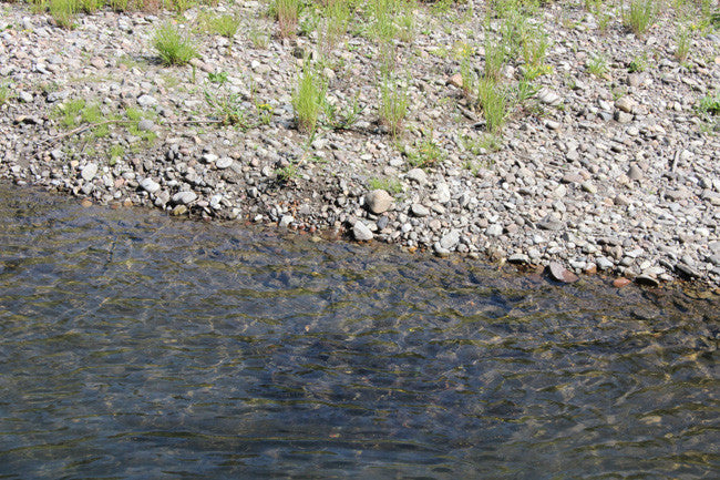 JASE GOLD Placer Mining Claim, Conant Creek, Fremont County, Idaho