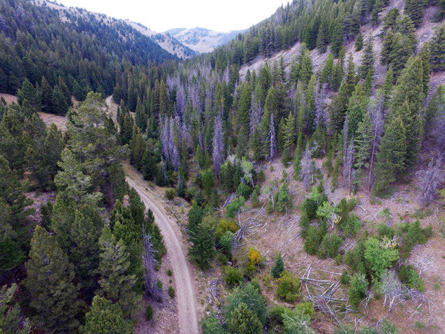 BAANDERS GOLD Placer Mining Claim, French Creek, Beaverhead County, Montana