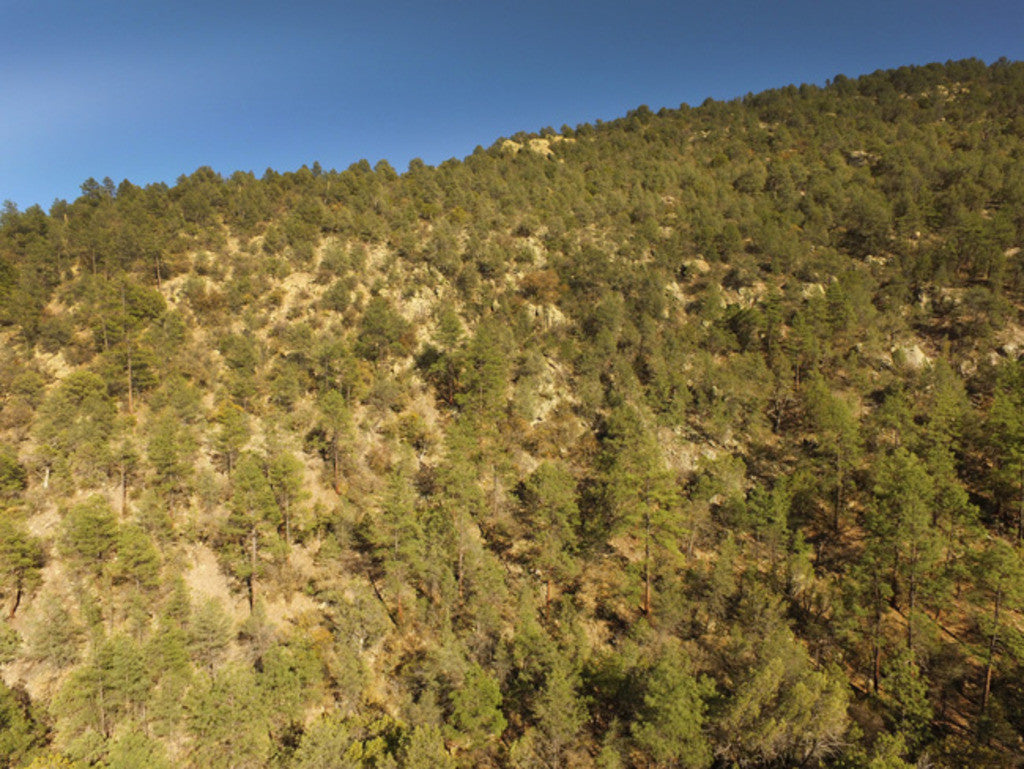 APLITE GOLD, Placer Mining Claim, Bear Creek, Grant County, New Mexico