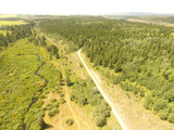 CORRALITOS GOLD Placer Mining Claim, Squirrel Creek, Fremont County, Idaho