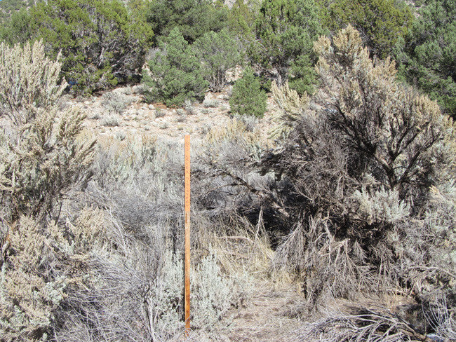 HARMONY MINE, Placer Claim, Pinto Creek, Washington County, Utah
