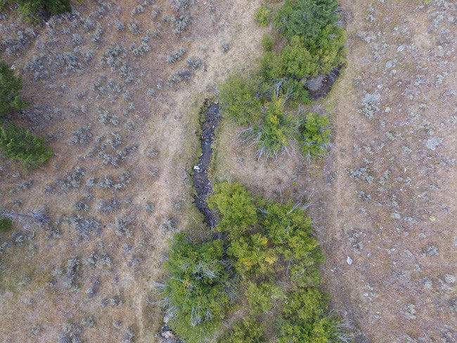 BAGLIO GOLD Placer Mining Claim, French Creek, Beaverhead County, Montana