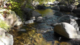 BLACK OAK Placer Mining Claim, Mineral King Mining District, Three Rivers, Tulare County, California