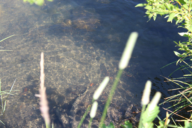 CROOKED GOLD Placer Mining Claim, Conant Creek, Fremont County, Idaho