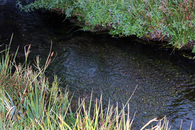 AINGEAL GOLD Placer Mining Claim, Taylor Creek, Beaverhead County, Montana