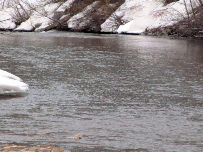 BETTY EYRE GOLD Placer Mining Claim, Dolores River, Dolores County, Colorado