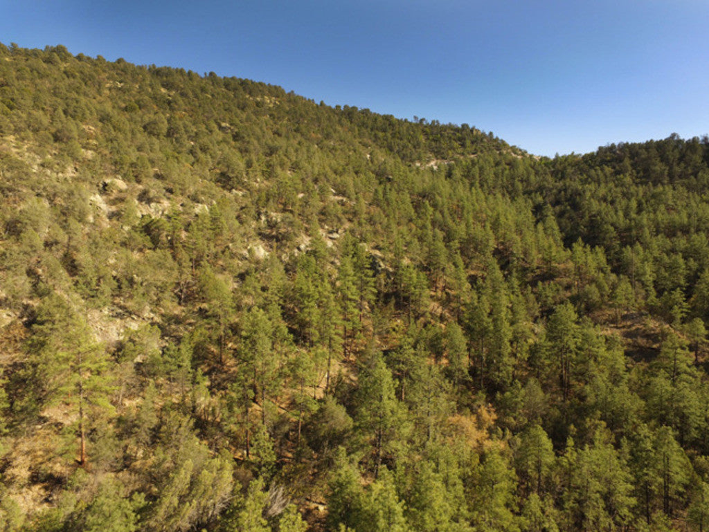 APLITE GOLD, Placer Mining Claim, Bear Creek, Grant County, New Mexico