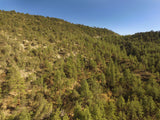 APLITE GOLD, Placer Mining Claim, Bear Creek, Grant County, New Mexico
