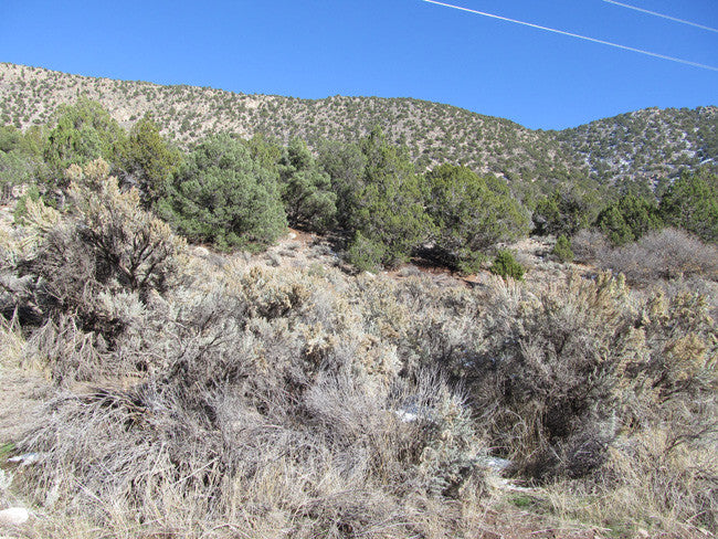 HARMONY MINE, Placer Claim, Pinto Creek, Washington County, Utah