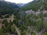 BAANDERS GOLD Placer Mining Claim, French Creek, Beaverhead County, Montana