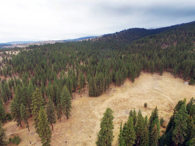 CARTWRIGHT GOLD Placer Mining Claim, Granite Boulder Creek, Grant County, Oregon