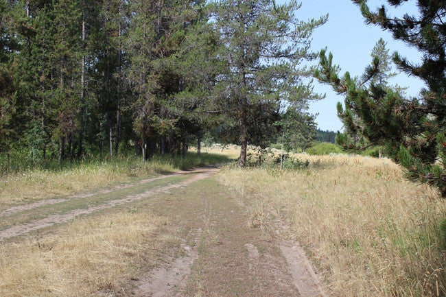 JASE GOLD Placer Mining Claim, Conant Creek, Fremont County, Idaho