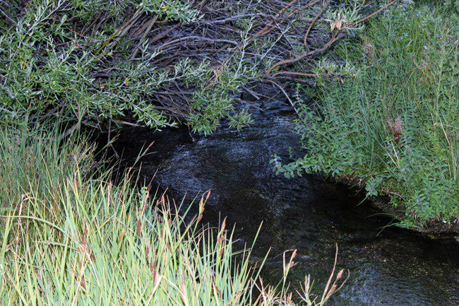 AINGEAL GOLD Placer Mining Claim, Taylor Creek, Beaverhead County, Montana