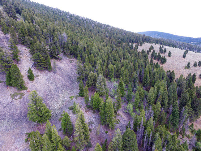 BAANDERS GOLD Placer Mining Claim, French Creek, Beaverhead County, Montana