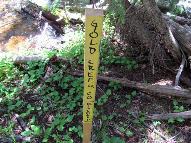 AURELIAN GOLD Placer Mining Claim, Gold Creek, Gunnison County, Colorado