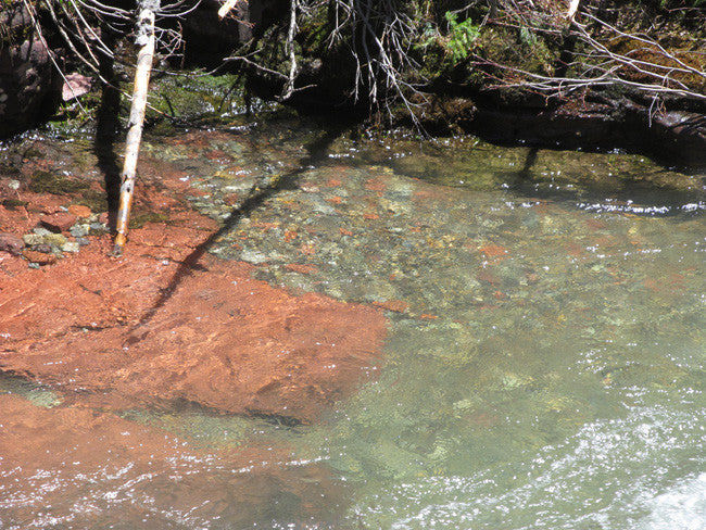 KING SOLOMON GOLD Placer Mining Claim, S. Fork Mineral Creek, San Juan County, Colorado
