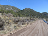 HARMONY MINE, Placer Claim, Pinto Creek, Washington County, Utah