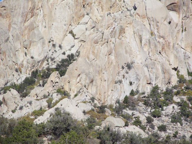 GRIMSEL SMOKY, Placer Mining Claim, Rock Creek, Beaver County, Utah