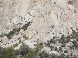 GRIMSEL SMOKY, Placer Mining Claim, Rock Creek, Beaver County, Utah