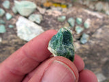 DUCK BONE JADE, Placer Mining Claim, Big Horn Jade, Fremont County, Wyoming