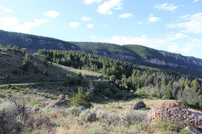 ADMIRAL GOLD Placer Mining Claim, Tensleep Creek, Washakie County, Wyoming