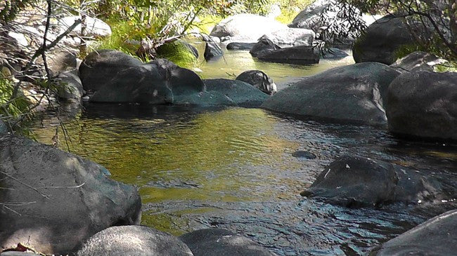 BLACK OAK Placer Mining Claim, Mineral King Mining District, Three Rivers, Tulare County, California