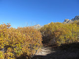 GRIMSEL SMOKY, Placer Mining Claim, Rock Creek, Beaver County, Utah