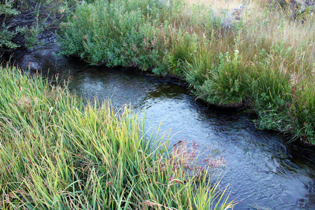 CIARA GOLD Placer Mining Claim, Taylor Creek, Beaverhead County, Montana