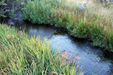 CIARA GOLD Placer Mining Claim, Taylor Creek, Beaverhead County, Montana