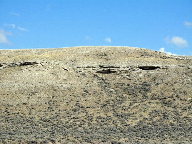 HARLEQUIN OPAL, Placer Mining Claim, Cedar Rim, Fremont County, Wyoming