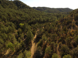 APLITE GOLD, Placer Mining Claim, Bear Creek, Grant County, New Mexico