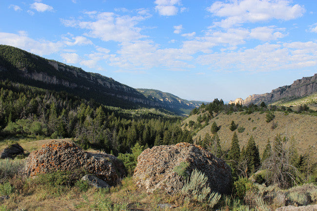 ADMIRAL GOLD Placer Mining Claim, Tensleep Creek, Washakie County, Wyoming