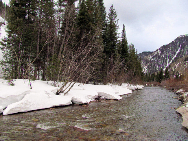 DOVE SEAT GOLD Placer Mining Claim, Dolores River, Dolores County, Colorado