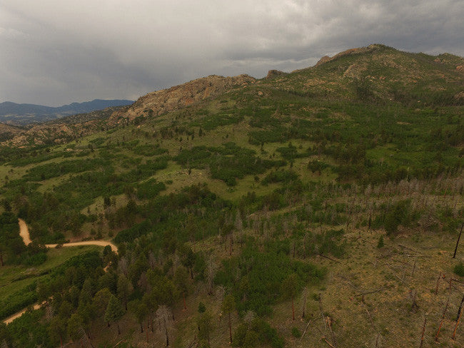 AROLLA Placer Mining Claim, Dorris Topaz, Park County, Colorado