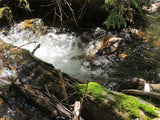 AURELIAN GOLD Placer Mining Claim, Gold Creek, Gunnison County, Colorado