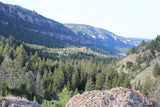 BRIDGER GOLD Placer Mining Claim, Tensleep Creek, Washakie County, Wyoming