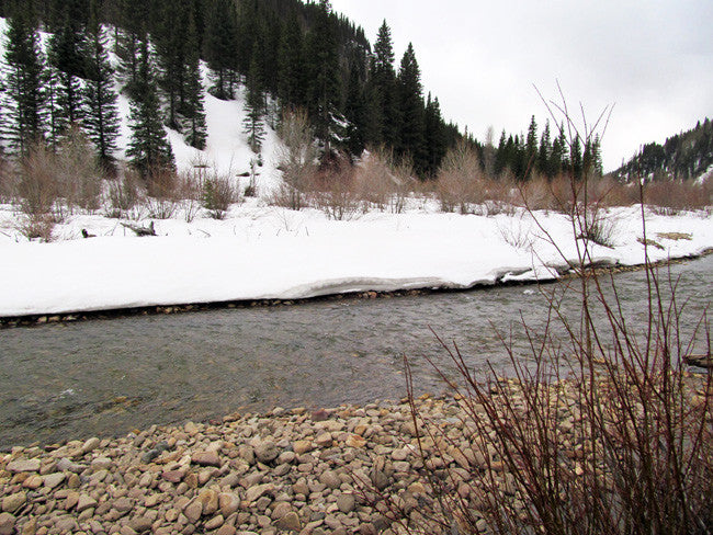 BETTY EYRE GOLD Placer Mining Claim, Dolores River, Dolores County, Colorado