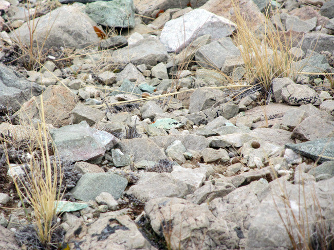 DUCK BONE JADE, Placer Mining Claim, Big Horn Jade, Fremont County, Wyoming