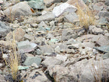 DUCK BONE JADE, Placer Mining Claim, Big Horn Jade, Fremont County, Wyoming