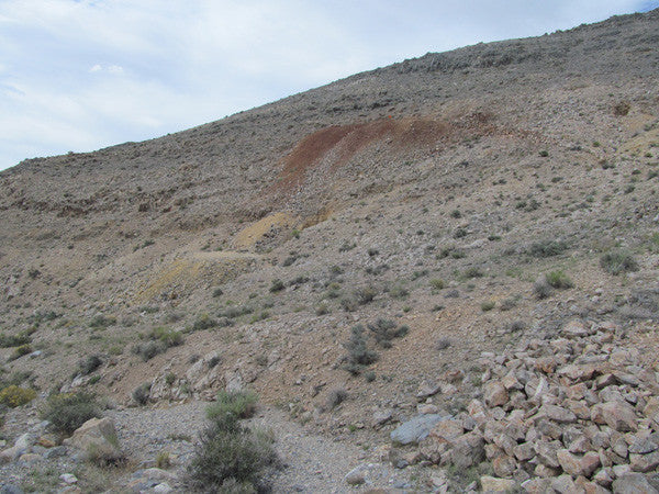 LEPRECHAUN GOLD MINE, Lode Mining Claim, Fallon, Churchill County, Nevada