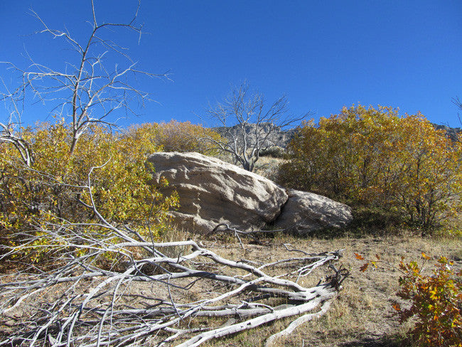 GRIMSEL SMOKY, Placer Mining Claim, Rock Creek, Beaver County, Utah
