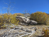 GRIMSEL SMOKY, Placer Mining Claim, Rock Creek, Beaver County, Utah