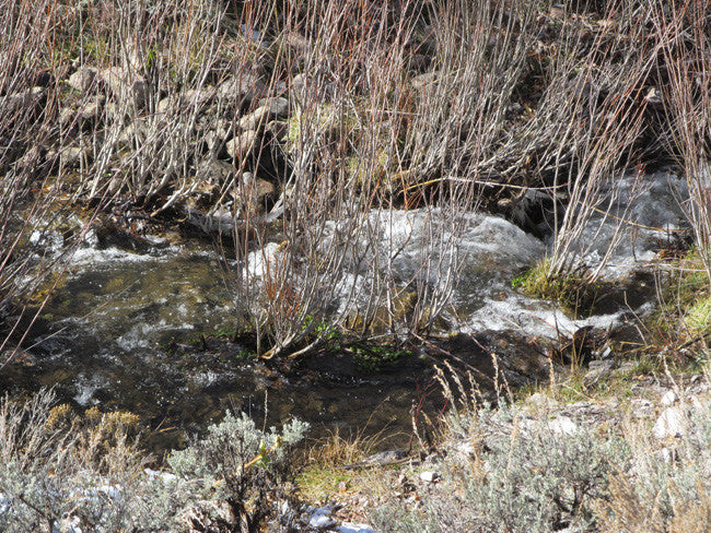 KOLOB #1 MINE, Placer Claim, Pinto Creek, Washington County, Utah