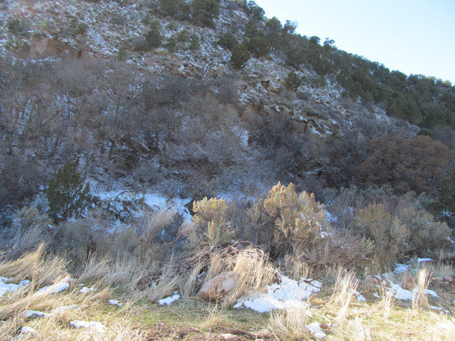HARMONY MINE, Placer Claim, Pinto Creek, Washington County, Utah