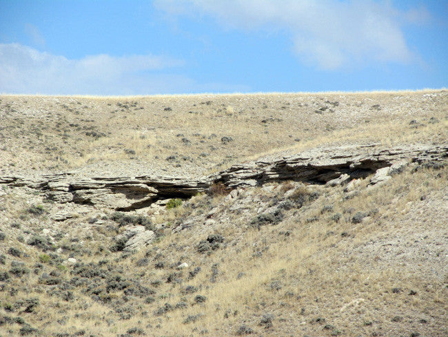 HARLEQUIN OPAL, Placer Mining Claim, Cedar Rim, Fremont County, Wyoming