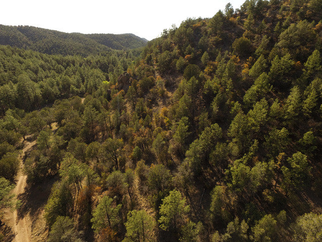 APLITE GOLD, Placer Mining Claim, Bear Creek, Grant County, New Mexico