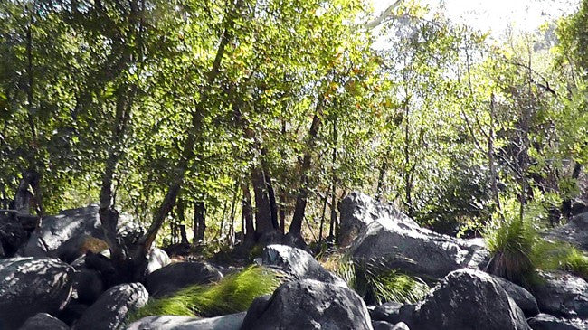 BLACK OAK Placer Mining Claim, Mineral King Mining District, Three Rivers, Tulare County, California