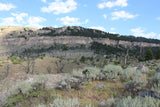 ADMIRAL GOLD Placer Mining Claim, Tensleep Creek, Washakie County, Wyoming