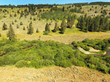 JASE GOLD Placer Mining Claim, Conant Creek, Fremont County, Idaho