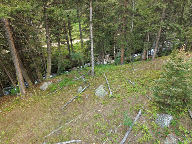 ALEXANDER GOLD Placer Mining Claim, S. Meadow Creek, Madison County, Montana